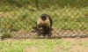 DSC01449.jpg (106875 bytes)